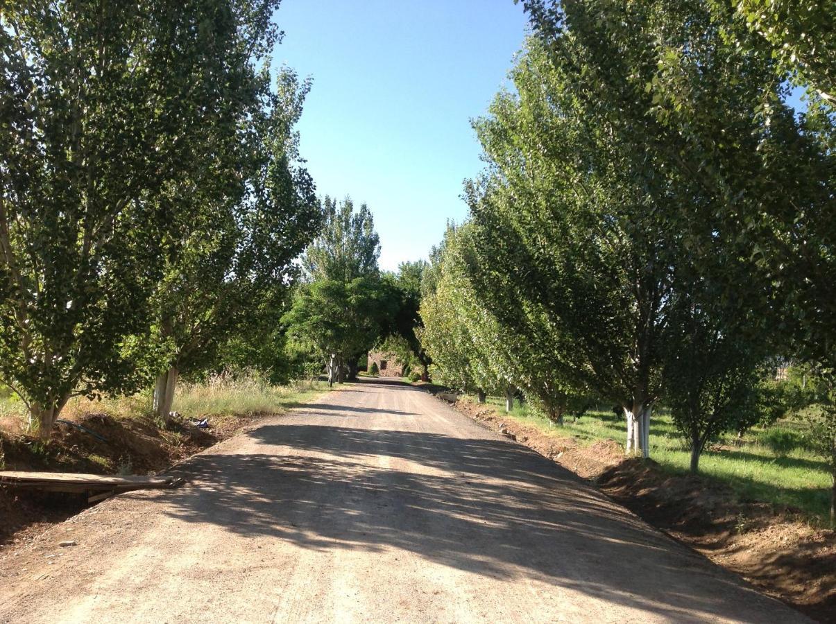 Finca el Consul Logroño Exterior foto